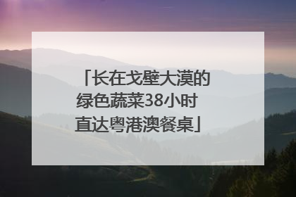 长在戈壁大漠的绿色蔬菜38小时直达粤港澳餐桌