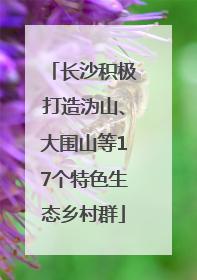 长沙积极打造沩山、大围山等17个特色生态乡村群