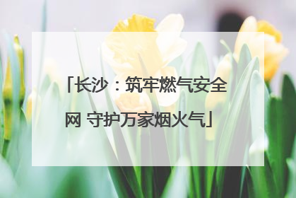 长沙：筑牢燃气安全网 守护万家烟火气