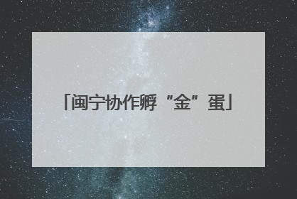 闽宁协作孵“金”蛋