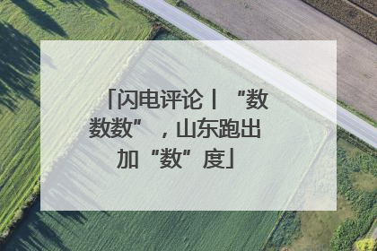 闪电评论丨“数数数”，山东跑出加“数”度