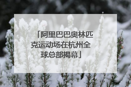 阿里巴巴奥林匹克运动场在杭州全球总部揭幕