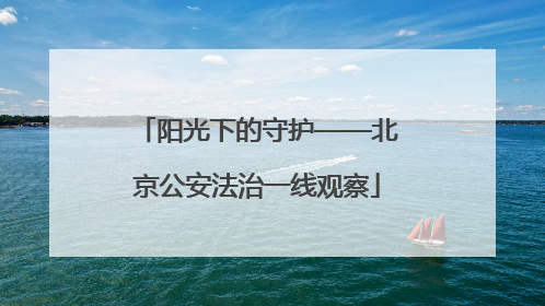 阳光下的守护——北京公安法治一线观察