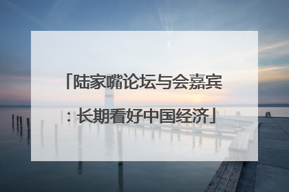 陆家嘴论坛与会嘉宾：长期看好中国经济
