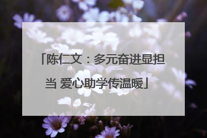 陈仁文：多元奋进显担当 爱心助学传温暖