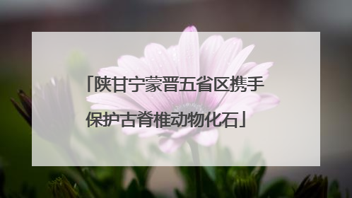 陕甘宁蒙晋五省区携手保护古脊椎动物化石
