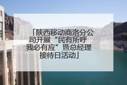 陕西移动商洛分公司开展“民有所呼 我必有应”暨总经理接待日活动