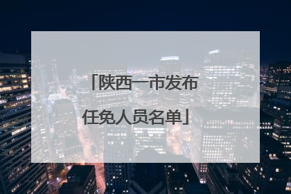 陕西一市发布任免人员名单