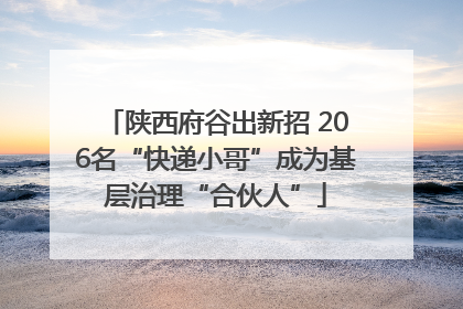 陕西府谷出新招 206名“快递小哥”成为基层治理“合伙人”