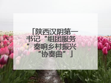 陕西汉阴第一书记“组团服务”奏响乡村振兴“协奏曲”