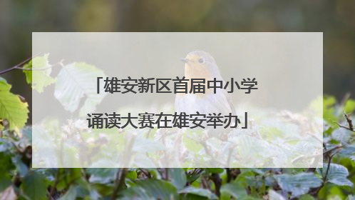 雄安新区首届中小学诵读大赛在雄安举办