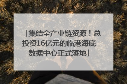 集结全产业链资源！总投资16亿元的临港海底数据中心正式落地