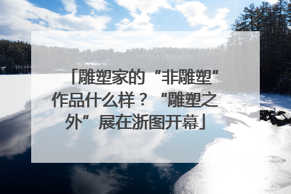 雕塑家的“非雕塑”作品什么样？“雕塑之外”展在浙图开幕
