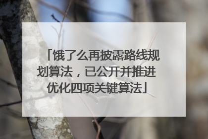 饿了么再披露路线规划算法，已公开并推进优化四项关键算法