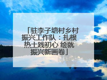 驻李子塘村乡村振兴工作队：扎根热土践初心 绘就振兴新画卷