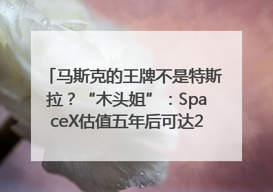 马斯克的王牌不是特斯拉？“木头姐”：SpaceX估值五年后可达2.5万亿美元！