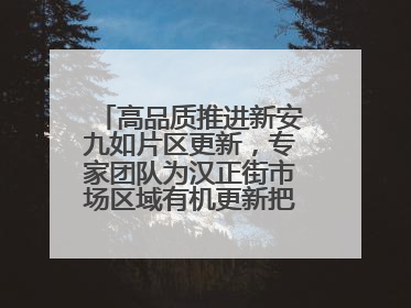 高品质推进新安九如片区更新，专家团队为汉正街市场区域有机更新把脉问诊