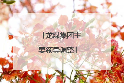 龙煤集团主要领导调整
