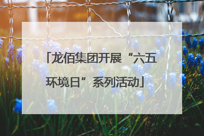 龙佰集团开展“六五环境日”系列活动