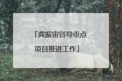 龚振宙督导重点项目推进工作