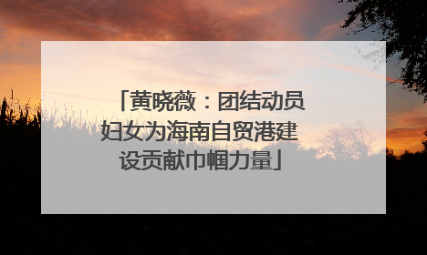 黄晓薇：团结动员妇女为海南自贸港建设贡献巾帼力量