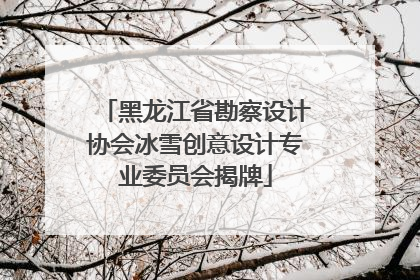 黑龙江省勘察设计协会冰雪创意设计专业委员会揭牌