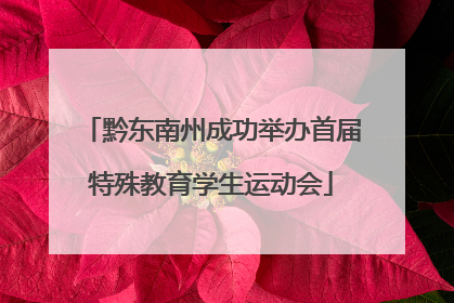 黔东南州成功举办首届特殊教育学生运动会