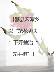 黟县宏潭乡以“绣花功夫”下好整治“先手棋”