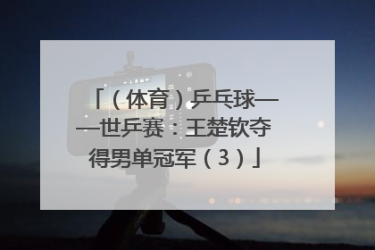 （体育）乒乓球——世乒赛：王楚钦夺得男单冠军（3）