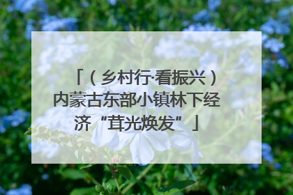 （乡村行·看振兴）内蒙古东部小镇林下经济“茸光焕发”