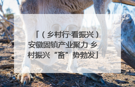 （乡村行·看振兴）安徽固镇产业聚力 乡村振兴“畜”势勃发