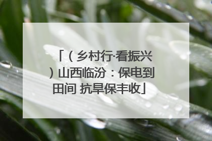 （乡村行·看振兴）山西临汾：保电到田间 抗旱保丰收