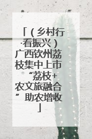 （乡村行·看振兴）广西钦州荔枝集中上市 “荔枝+农文旅融合”助农增收