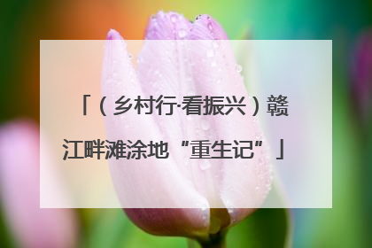 （乡村行·看振兴）赣江畔滩涂地“重生记”