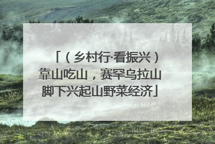 （乡村行·看振兴）靠山吃山，赛罕乌拉山脚下兴起山野菜经济
