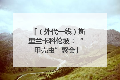 （外代一线）斯里兰卡科伦坡：“甲壳虫”聚会