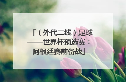 （外代二线）足球——世界杯预选赛：阿根廷赛前备战