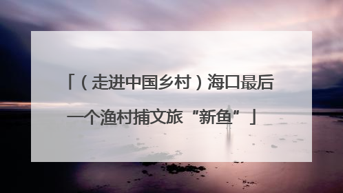 （走进中国乡村）海口最后一个渔村捕文旅“新鱼”