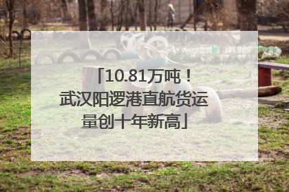 10.81万吨！武汉阳逻港直航货运量创十年新高