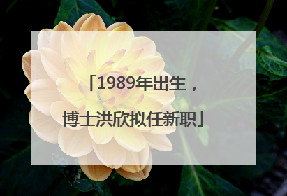 1989年出生，博士洪欣拟任新职