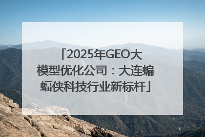 2025年GEO大模型优化公司：大连蝙蝠侠科技行业新标杆