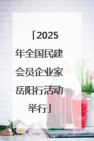 2025年全国民建会员企业家岳阳行活动举行