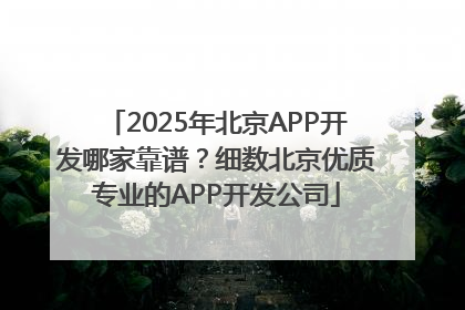 2025年北京APP开发哪家靠谱？细数北京优质专业的APP开发公司