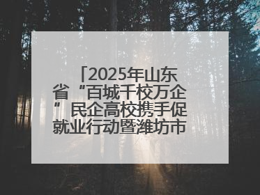 2025年山东省“百城千校万企”民企高校携手促就业行动暨潍坊市职教活动周启动