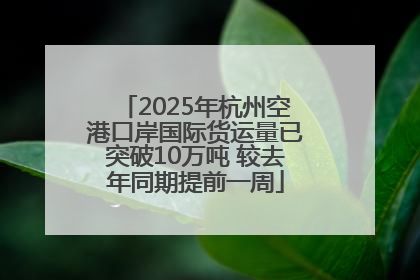 2025年杭州空港口岸国际货运量已突破10万吨 较去年同期提前一周