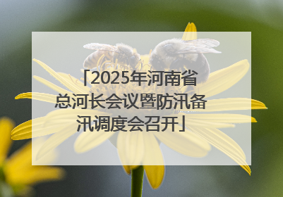2025年河南省总河长会议暨防汛备汛调度会召开