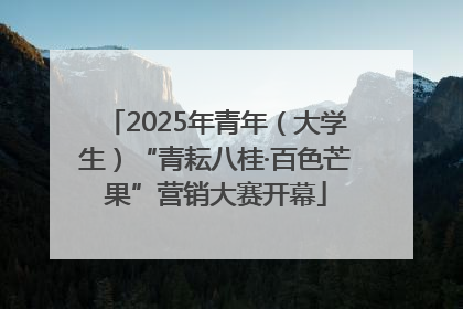 2025年青年（大学生）“青耘八桂·百色芒果”营销大赛开幕