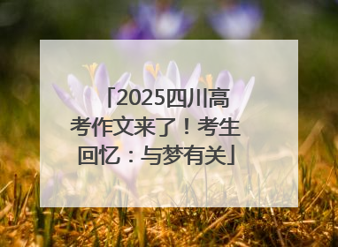 2025四川高考作文来了！考生回忆：与梦有关
