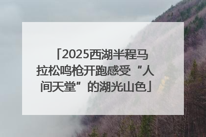 2025西湖半程马拉松鸣枪开跑感受“人间天堂”的湖光山色