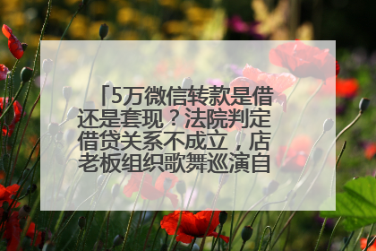 5万微信转款是借还是套现？法院判定借贷关系不成立，店老板组织歌舞巡演自我“恢复名誉”